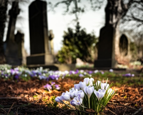 cimetiere