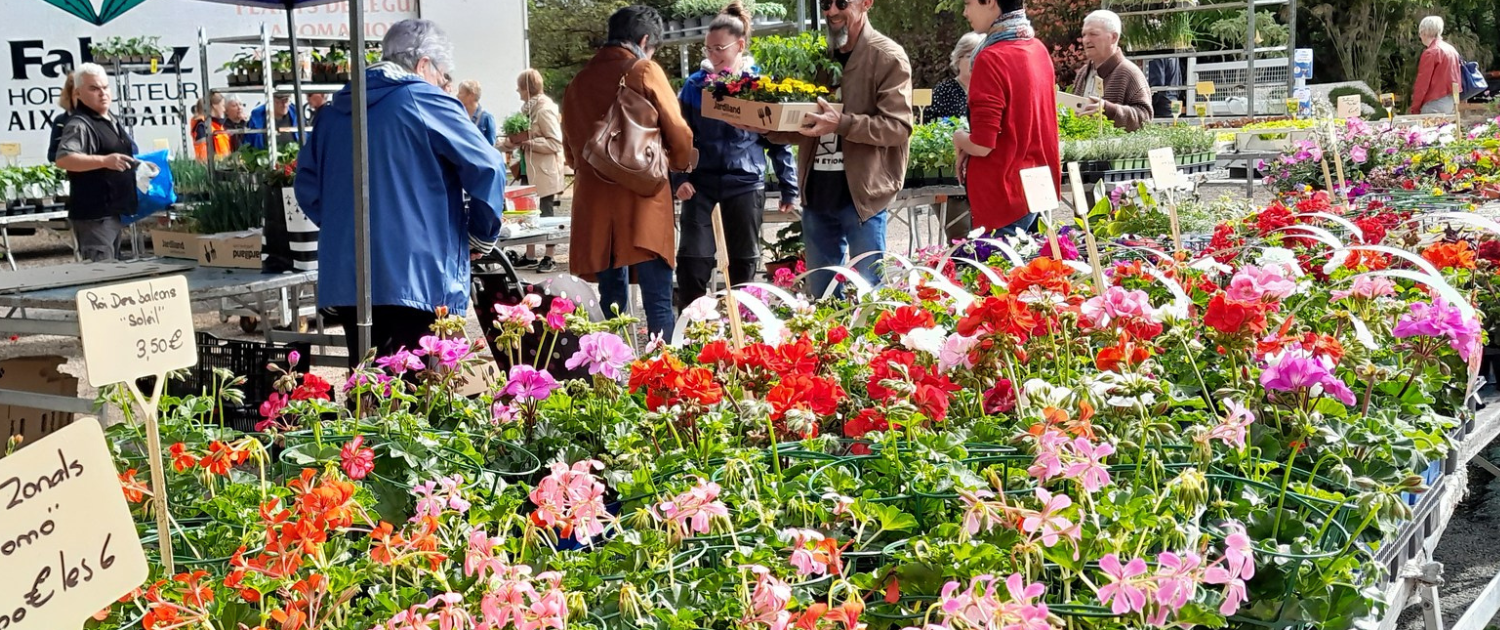 Maquette banière site